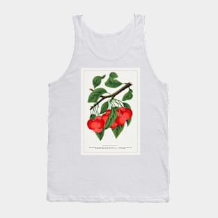 Early Richmond cherry Lithograph (1900) Tank Top